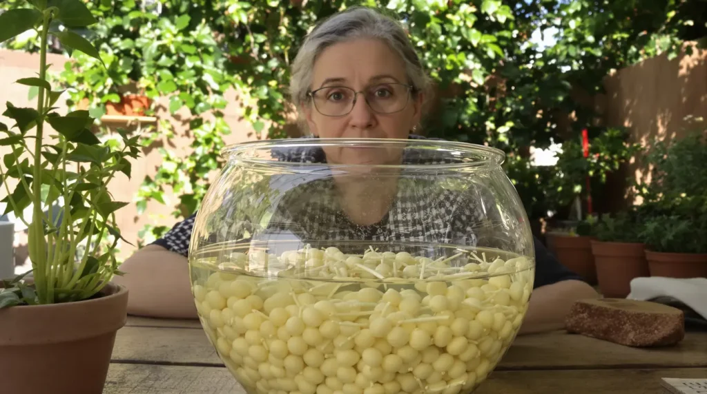 5 jardiniers sur 10 ignorent encore pourquoi les graines de courge doivent être trempées