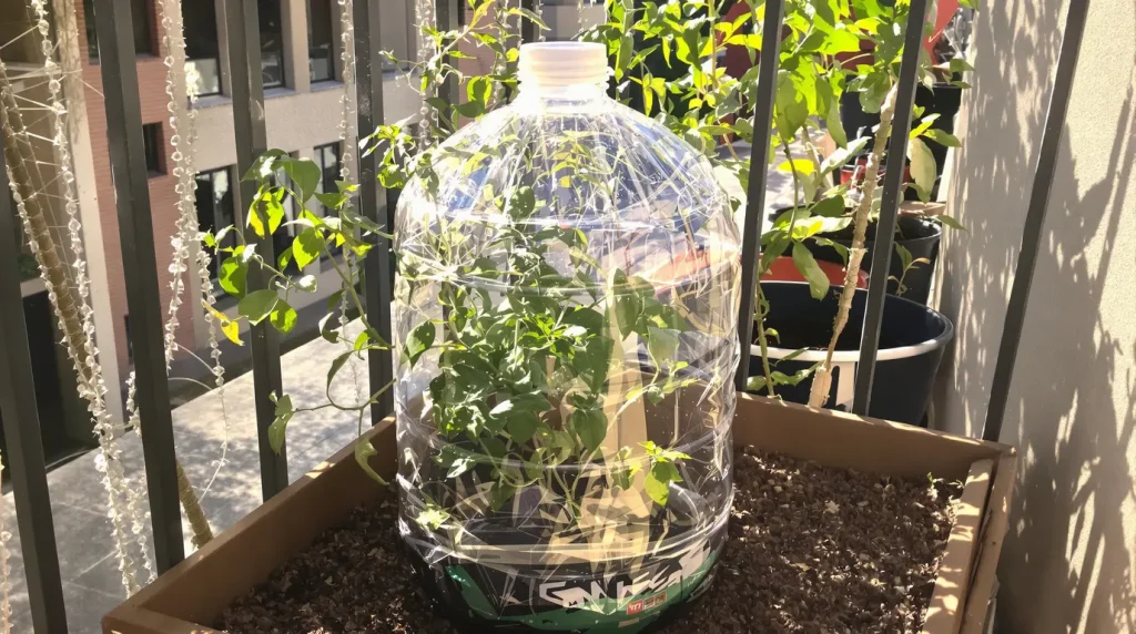 Cet objet du quotidien que vous jetez au tri chaque semaine est en réalité l'allié idéal de vos semis en avril