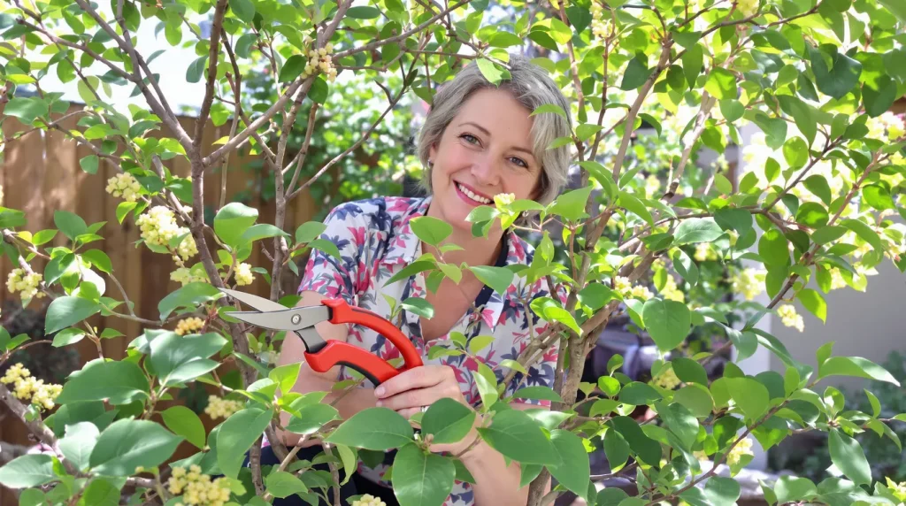 Jardin : ces 3 plantes à tailler en avril et mai pour des floraisons spectaculaires, sans oublier