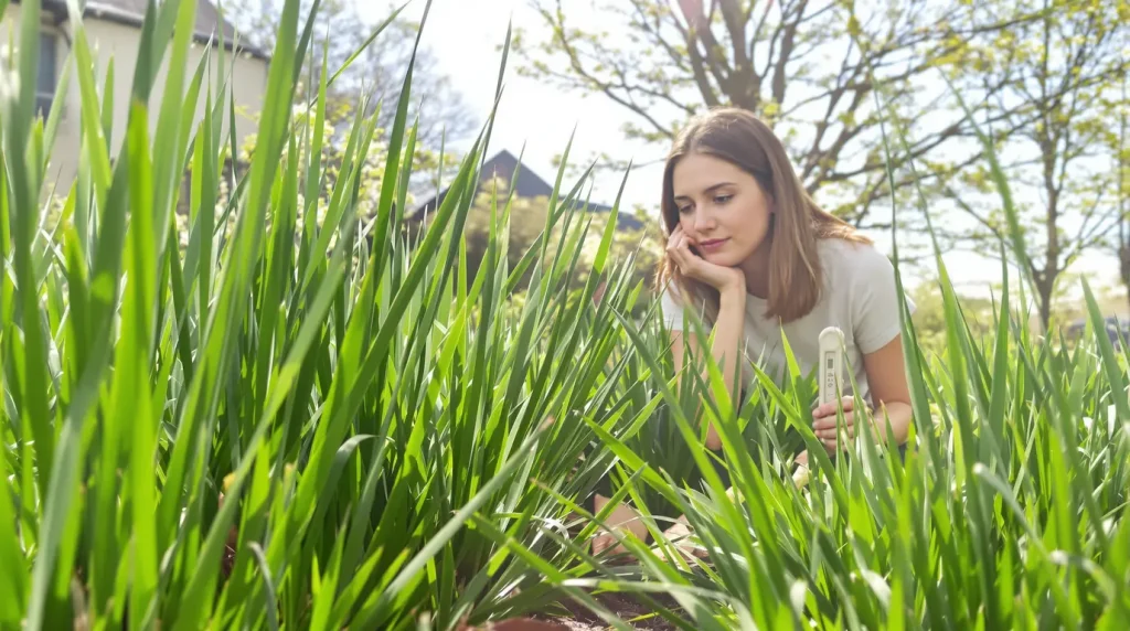 Jardin : ne tondez pas la pelouse avant ce moment précis, ces 3 signaux doivent d'abord apparaître chez vous